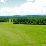 405± acres with Home, Timber, Pond, and Creek Frontage | Coffee County, AL Auction