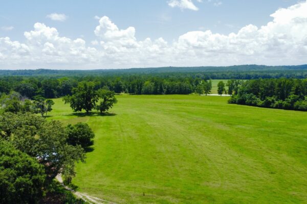 Photo of 405-acres-with-home-timber-pond-and-creek-frontage-coffee-county-al-auction