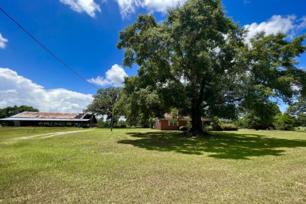 Photo of 405-acres-with-home-timber-pond-and-creek-frontage-coffee-county-al-auction