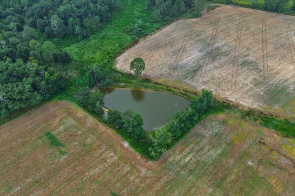 Photo of 405-acres-with-home-timber-pond-and-creek-frontage-coffee-county-al-auction