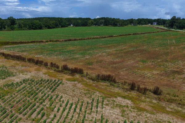 Photo of 405-acres-with-home-timber-pond-and-creek-frontage-coffee-county-al-auction