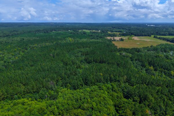 Photo of 405-acres-with-home-timber-pond-and-creek-frontage-coffee-county-al-auction