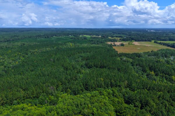 Photo of 405-acres-with-home-timber-pond-and-creek-frontage-coffee-county-al-auction
