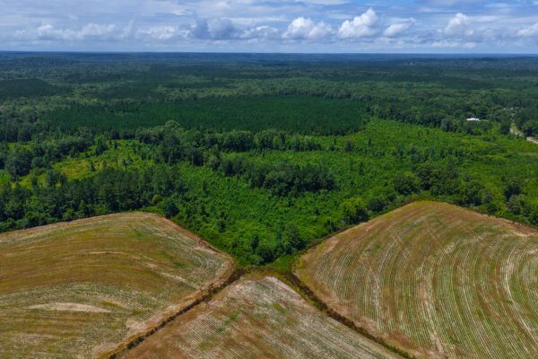 Photo of 405-acres-with-home-timber-pond-and-creek-frontage-coffee-county-al-auction