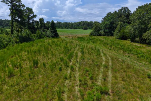 Photo of 405-acres-with-home-timber-pond-and-creek-frontage-coffee-county-al-auction
