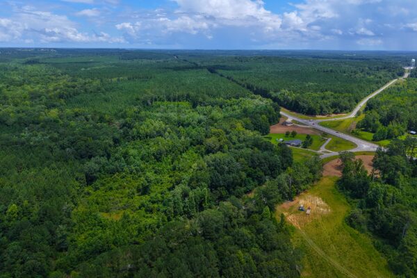 Photo of 405-acres-with-home-timber-pond-and-creek-frontage-coffee-county-al-auction