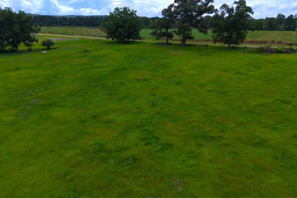 Photo of 405-acres-with-home-timber-pond-and-creek-frontage-coffee-county-al-auction
