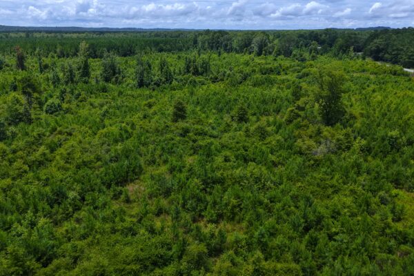 Photo of 405-acres-with-home-timber-pond-and-creek-frontage-coffee-county-al-auction