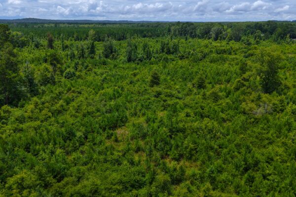 Photo of 405-acres-with-home-timber-pond-and-creek-frontage-coffee-county-al-auction