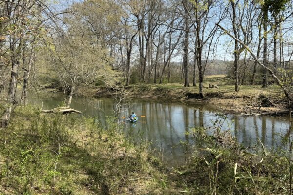 Photo of 384-acres-on-terrapin-creek-in-piedmont-cherokee-county-al-auction