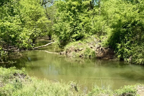 Photo of 72-acres-of-prime-land-in-crandall-murray-county-ga-auction