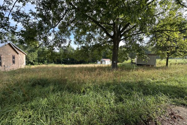 Photo of 2-52-acre-homesite-in-buchanan-haralson-county-ga-auction