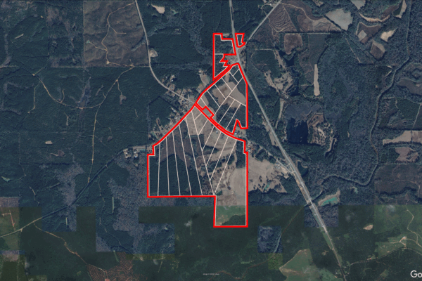 Photo of 405-acres-with-home-timber-pond-and-creek-frontage-coffee-county-al-auction