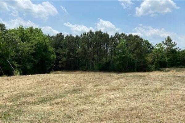 Photo of excellent-1-17-acre-commercial-corner-lot-in-shannon-ga-auction
