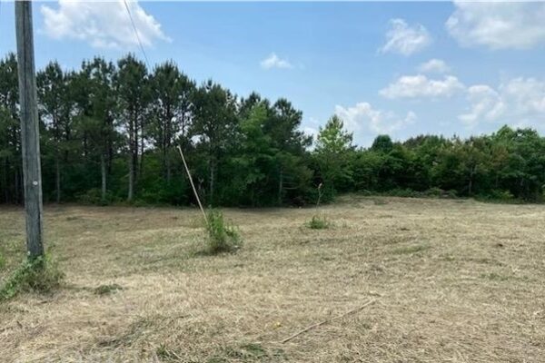Photo of excellent-1-17-acre-commercial-corner-lot-in-shannon-ga-auction