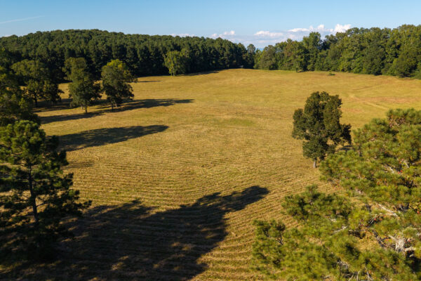 Photo of 38-acres-with-brick-home-and-creek-calhoun-gordon-county-ga-absolute-auction