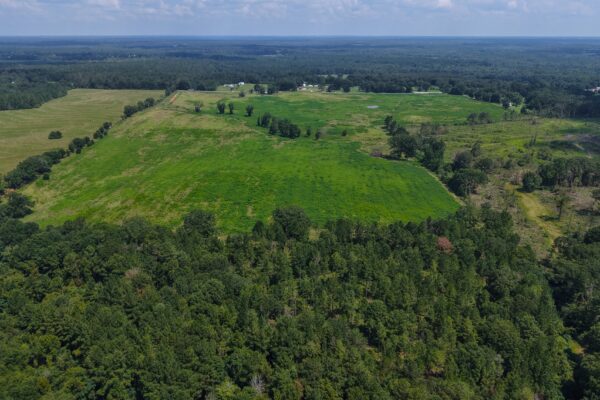 Photo of 103-acres-of-pastureland-luverne-crenshaw-county-al-auction