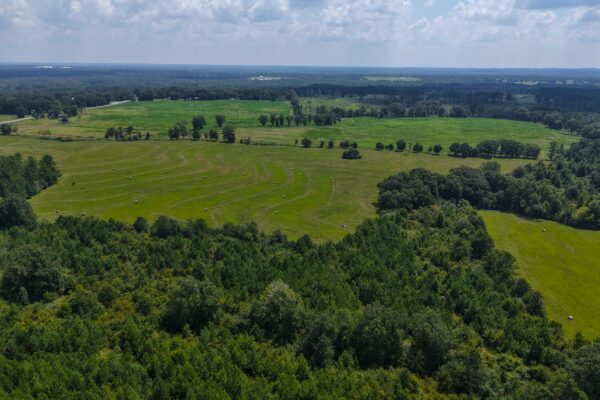 Photo of 103-acres-of-pastureland-luverne-crenshaw-county-al-auction