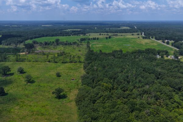 Photo of 103-acres-of-pastureland-luverne-crenshaw-county-al-auction