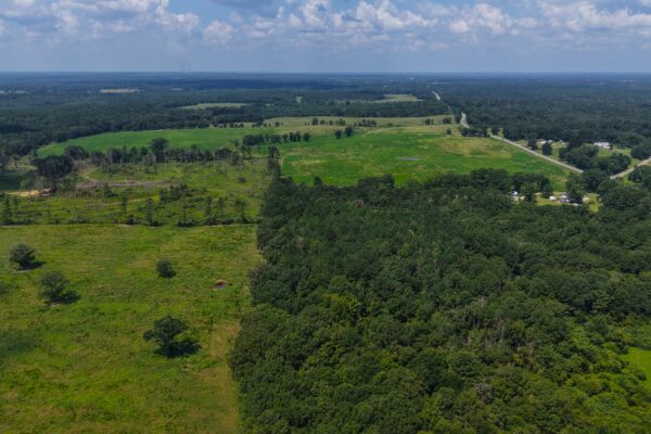 Photo of 103-acres-of-pastureland-luverne-crenshaw-county-al-auction