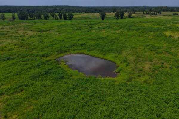 Photo of 103-acres-of-pastureland-luverne-crenshaw-county-al-auction