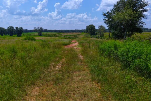 Photo of 103-acres-of-pastureland-luverne-crenshaw-county-al-auction
