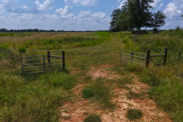 Photo of 103-acres-of-pastureland-luverne-crenshaw-county-al-auction