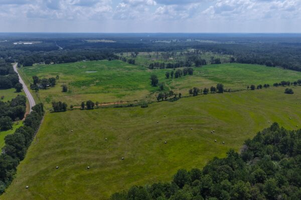 Photo of 103-acres-of-pastureland-luverne-crenshaw-county-al-auction