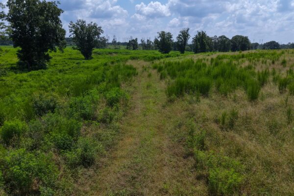 Photo of 103-acres-of-pastureland-luverne-crenshaw-county-al-auction
