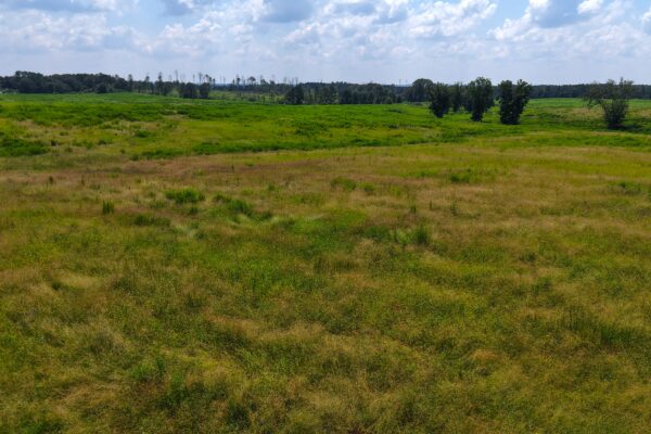 Photo of 103-acres-of-pastureland-luverne-crenshaw-county-al-auction