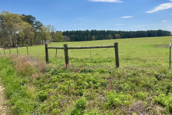 Photo of 103-acres-of-pastureland-luverne-crenshaw-county-al-auction