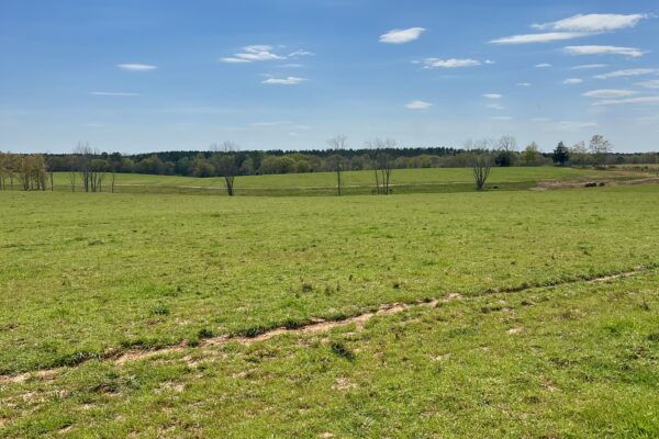 Photo of 103-acres-of-pastureland-luverne-crenshaw-county-al-auction