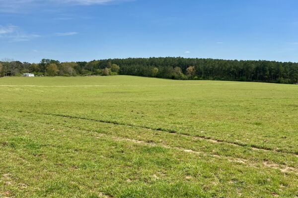 Photo of 103-acres-of-pastureland-luverne-crenshaw-county-al-auction