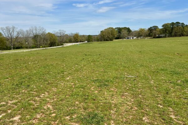 Photo of 103-acres-of-pastureland-luverne-crenshaw-county-al-auction
