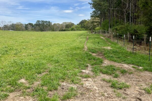Photo of 103-acres-of-pastureland-luverne-crenshaw-county-al-auction