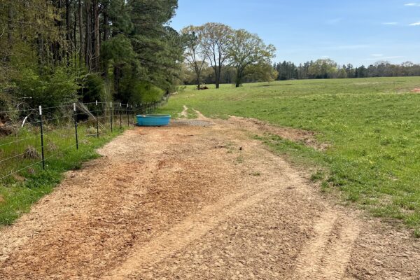 Photo of 103-acres-of-pastureland-luverne-crenshaw-county-al-auction