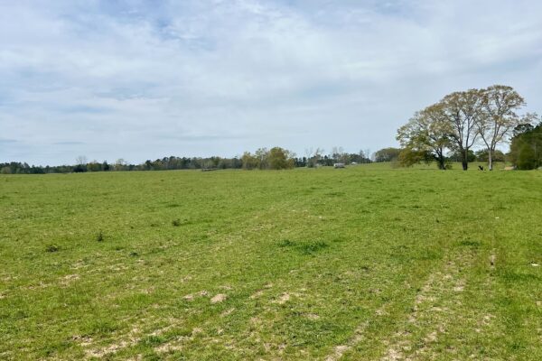Photo of 103-acres-of-pastureland-luverne-crenshaw-county-al-auction