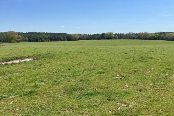 Photo of 103-acres-of-pastureland-luverne-crenshaw-county-al-auction
