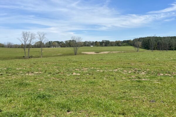 Photo of 103-acres-of-pastureland-luverne-crenshaw-county-al-auction