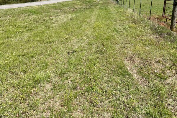 Photo of 103-acres-of-pastureland-luverne-crenshaw-county-al-auction