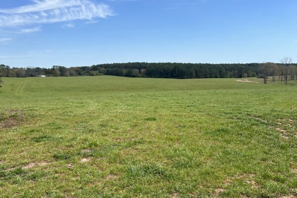 Photo of 103-acres-of-pastureland-luverne-crenshaw-county-al-auction