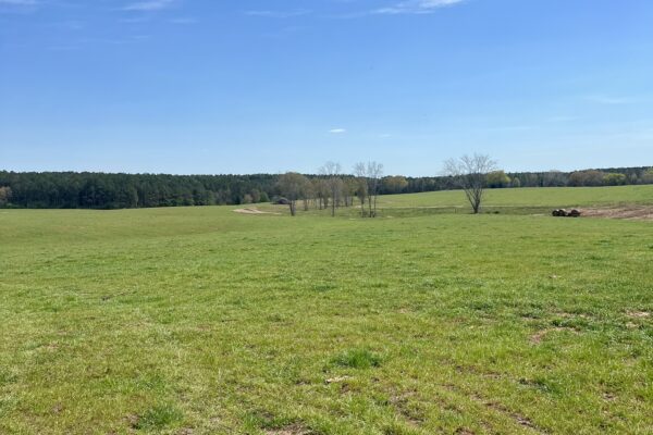 Photo of 103-acres-of-pastureland-luverne-crenshaw-county-al-auction