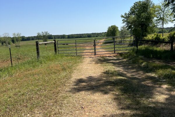 Photo of 103-acres-of-pastureland-luverne-crenshaw-county-al-auction