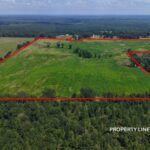 103± acres of Pastureland Rutledge, Crenshaw County, AL Auction