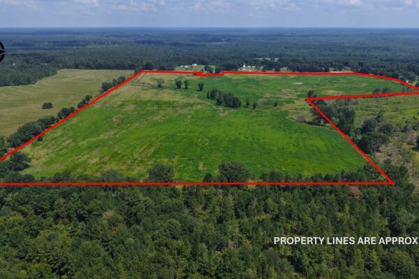 Photo of 103-acres-of-pastureland-luverne-crenshaw-county-al-auction