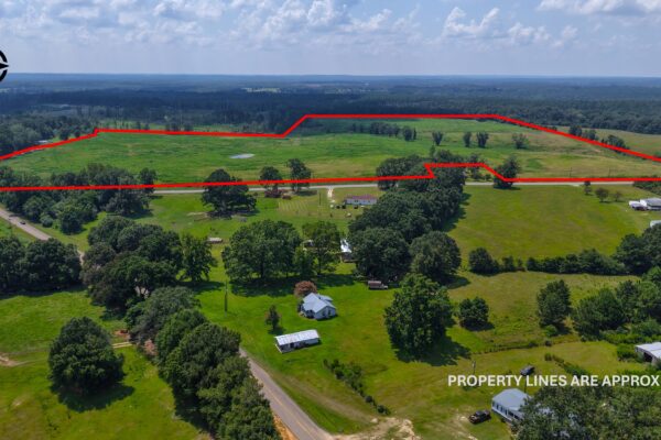 Photo of 103-acres-of-pastureland-luverne-crenshaw-county-al-auction