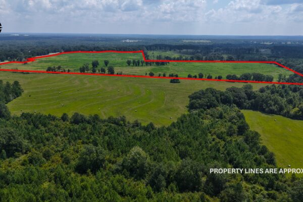 Photo of 103-acres-of-pastureland-luverne-crenshaw-county-al-auction