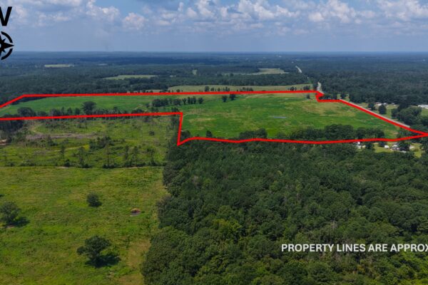 Photo of 103-acres-of-pastureland-luverne-crenshaw-county-al-auction