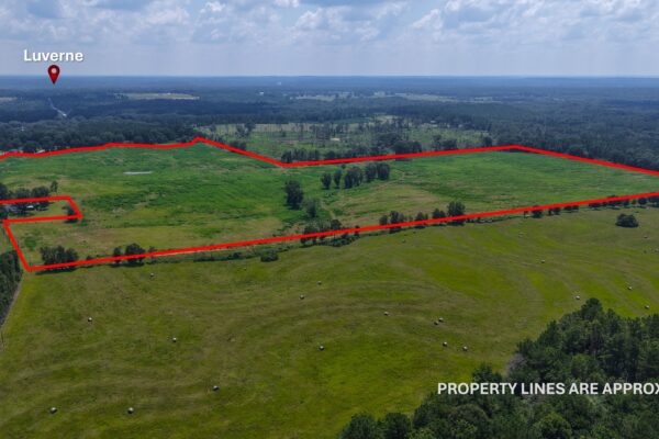 Photo of 103-acres-of-pastureland-luverne-crenshaw-county-al-auction