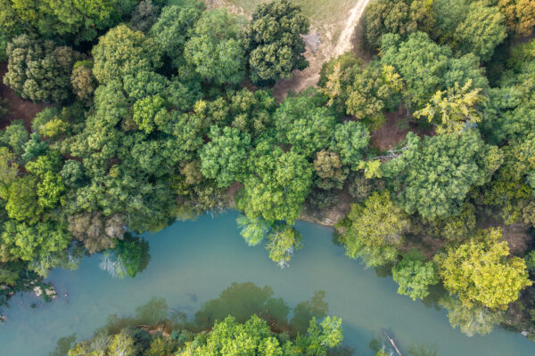 Photo of 3-acres-on-the-chattooga-river-in-gaylesville-cherokee-county-al-court-ordered-auction